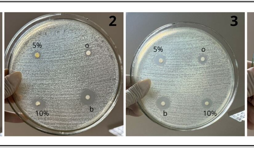 Avaliação da Eficiência Antibacteriana de Sabonete com Óleo de Bergamota: Novos Resultados Revelam Insights Importantes