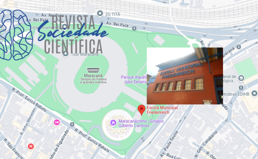 Gestor Escolar: Mediação e Resistência na Escola Friedenreich