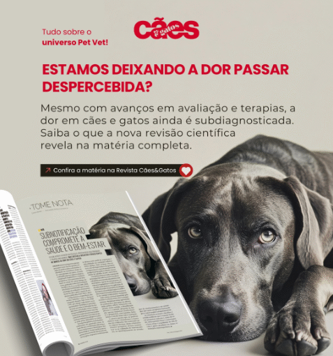 Estudo sobre Manejo da Dor em Pequenos Animais publicado na Revista Sociedade Científica é Destaque na Revista Cães e Gatos